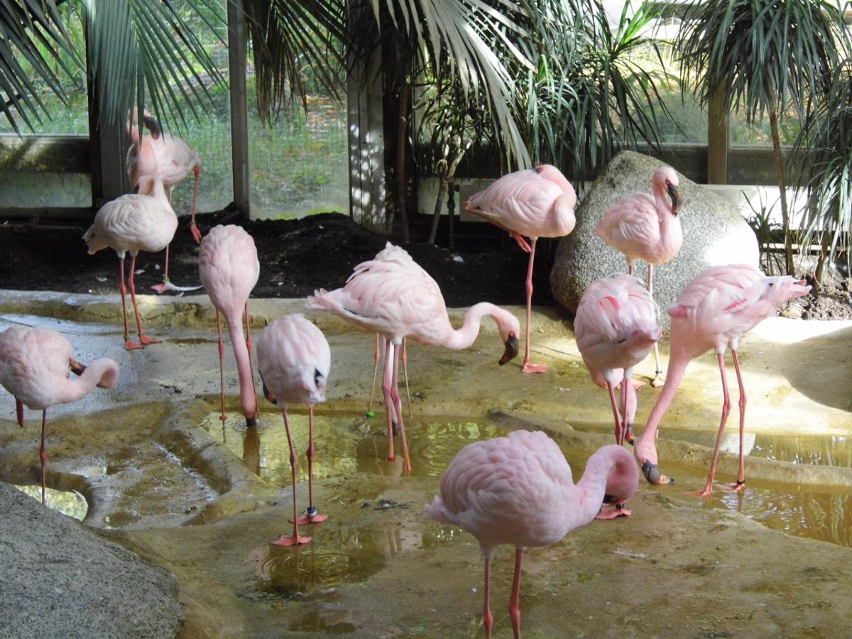 Zoo Karlsruhe