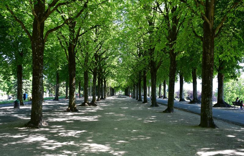Parc de Valency